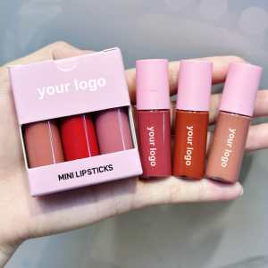 Custom Logo 4 Colors Mini Lipstick Set | Travel Size Lip Kit